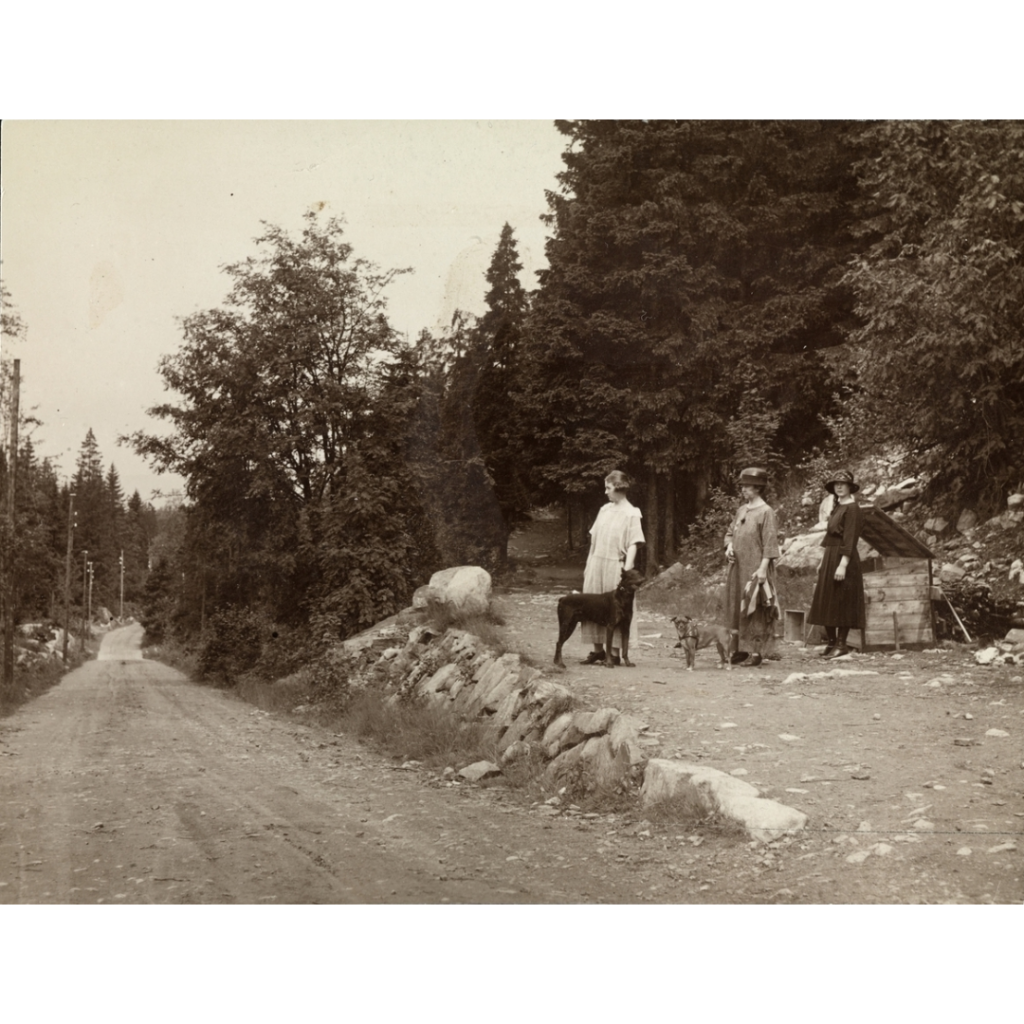 I 1912 ble Grefsenåsen solgt til Aker kommune mot at det populære utfartsterrenget skulle komme hele befolkningen til gode (1924). Foto: Oscar Hvalbye / Oslo Museum